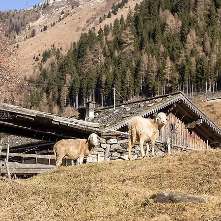 Charming Alpine Chalet Chalet Matrei in Osttirol